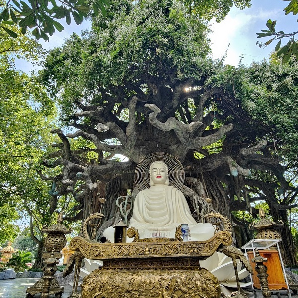 ĐẠI BỒ ĐỀ QUANG MINH CẢNH