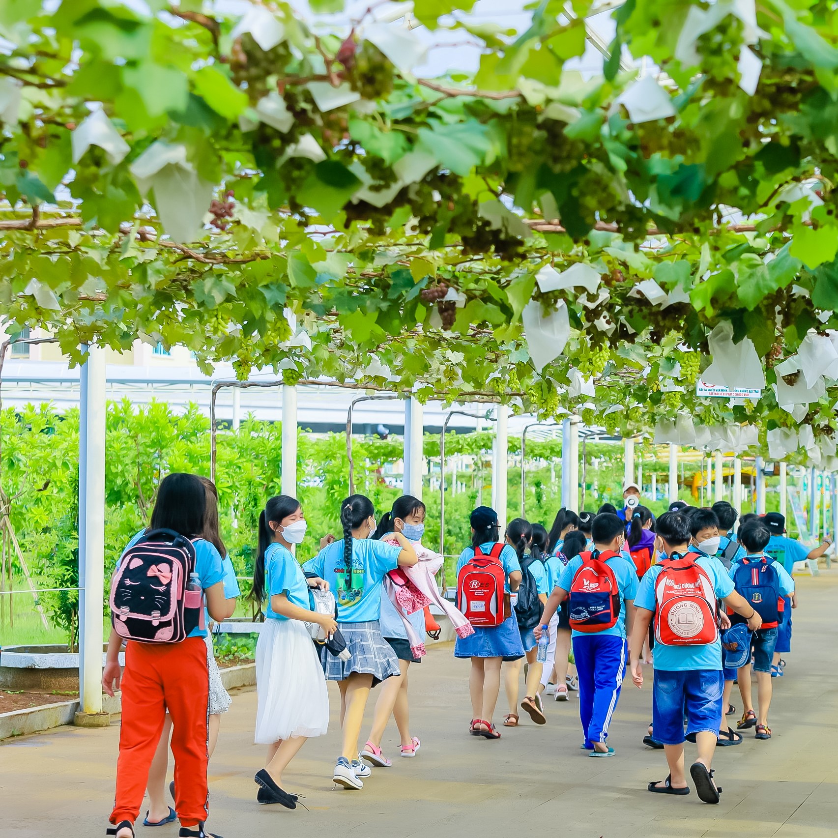 Team Building cho trường học