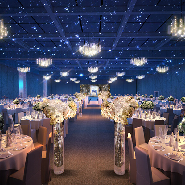 Tổ chức hội nghị