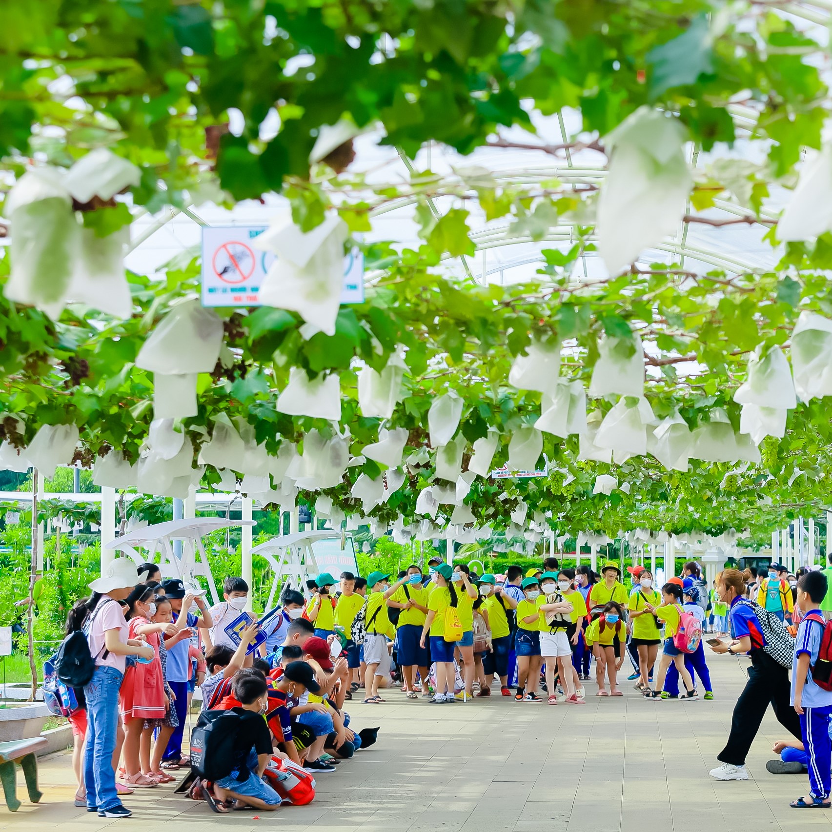 Dịch vụ cho tour đoàn
