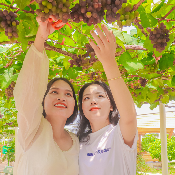 Trải nghiệm Du lịch nông nghiệp xanh giữa lòng Sài Gòn tại Suối Tiên Farm 