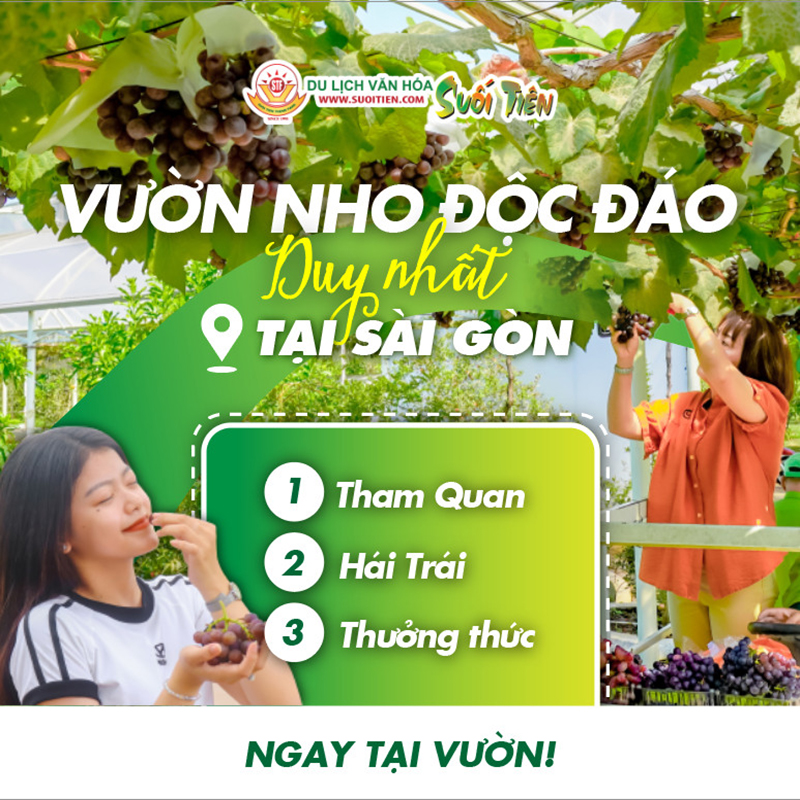 Thư viện