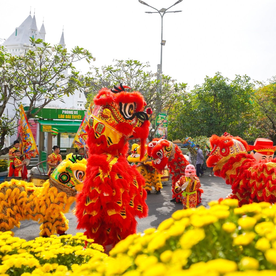 Suối Tiên ưu đãi 20% giá vé, ra mắt vườn nho Mẫu Đơn Mừng Xuân Giáp Thìn